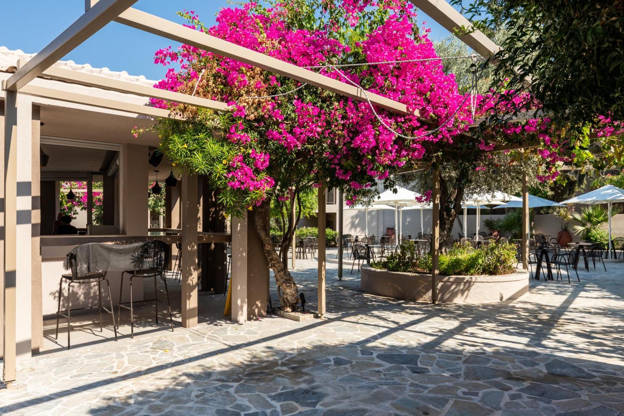 Hotel White Olive Premium Lindos Pefki Zewnętrze zdjęcie